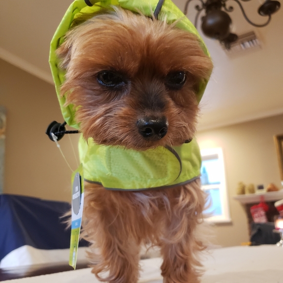 Reflective Dog Hooded Rain Jacket S - Picture 14 of 16